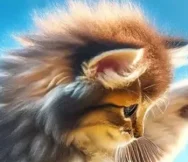 Frimousse.net
